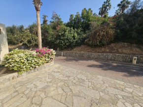 1Bedroom The Cove Rotana - Nexus Holiday Home